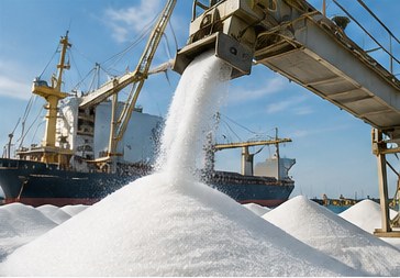 Raw sugar being loaded at a bulk export terminal